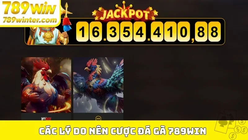 Các lý do nên cược đá gà 789Win