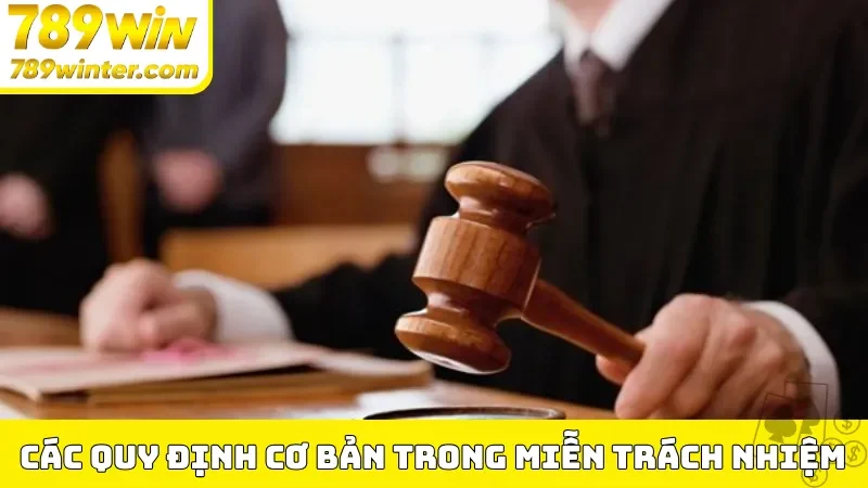 Các quy định cơ bản trong miễn trừ trách nhiệm