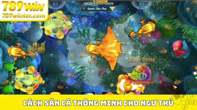 Cách săn cá thông minh cho ngư thủ