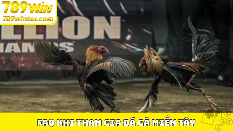 FAQ khi tham gia đá gà miền Tây