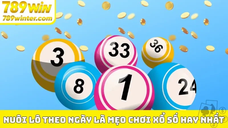 Nuôi lô theo ngày là mẹo chơi xổ số tại 789Win hay nhất